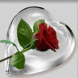 Meet your Posher, Deysi